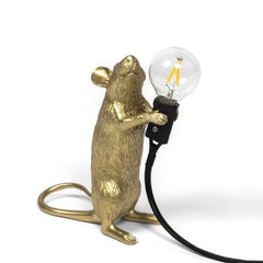 Home Room Desktop LED Night Lamp